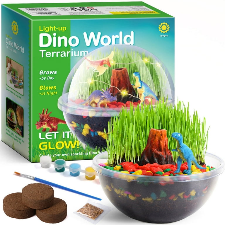 Terrarium Kit Dino World For Kids