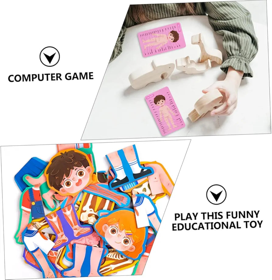 Human Body Structure Puzzle Educational For Kids | 3+