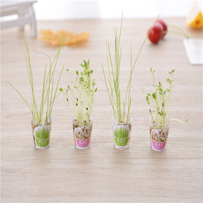 Black Pen Grass Planting Plant Can Sprout&Grow Stress Relief 0.5mm