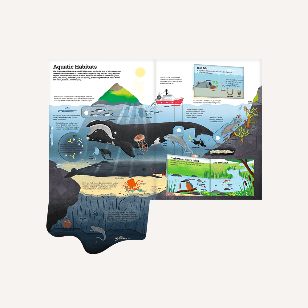 Big Ultimate Book Of Water | Hardcover | 5+