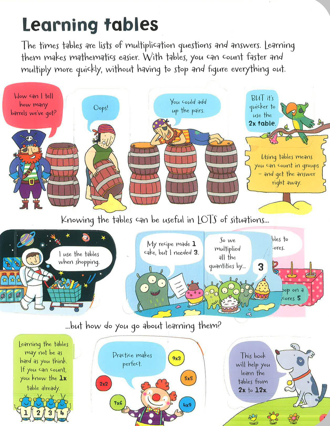 Usborne Lift-the-Flap Book | Hard Cover | 6+