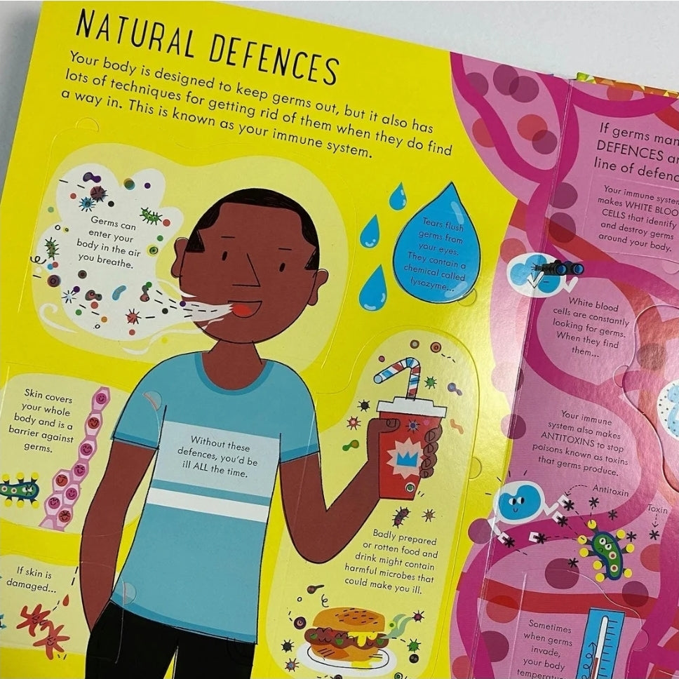 Usborne Lift-the-Flap Book | Hard Cover | 6+