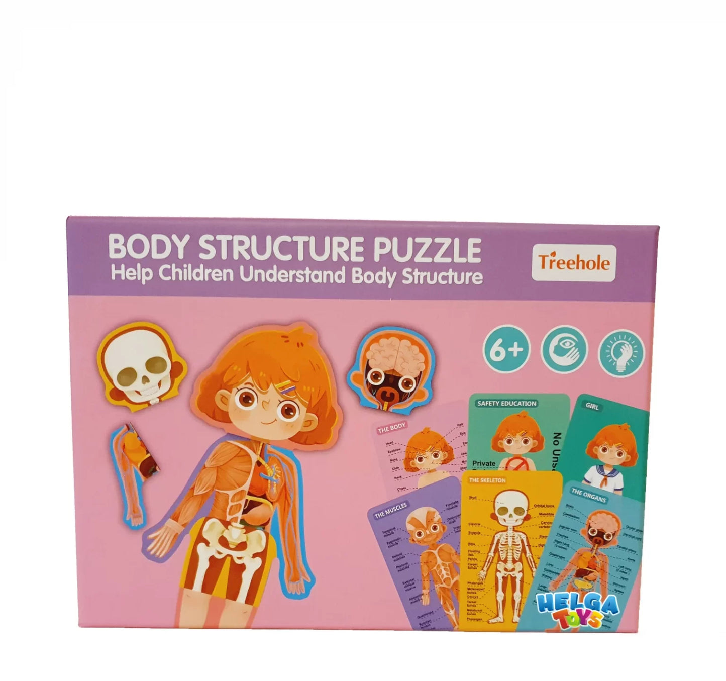 Human Body Structure Puzzle Educational For Kids | 3+