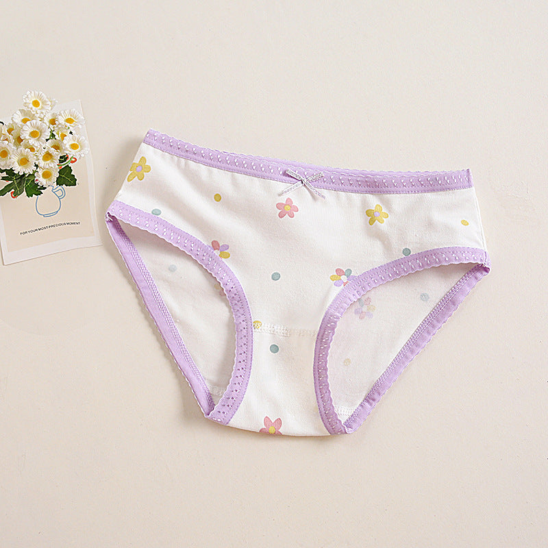 Girls Cotton Panties (4 pcs) Purple Flower| Size 2–12Y