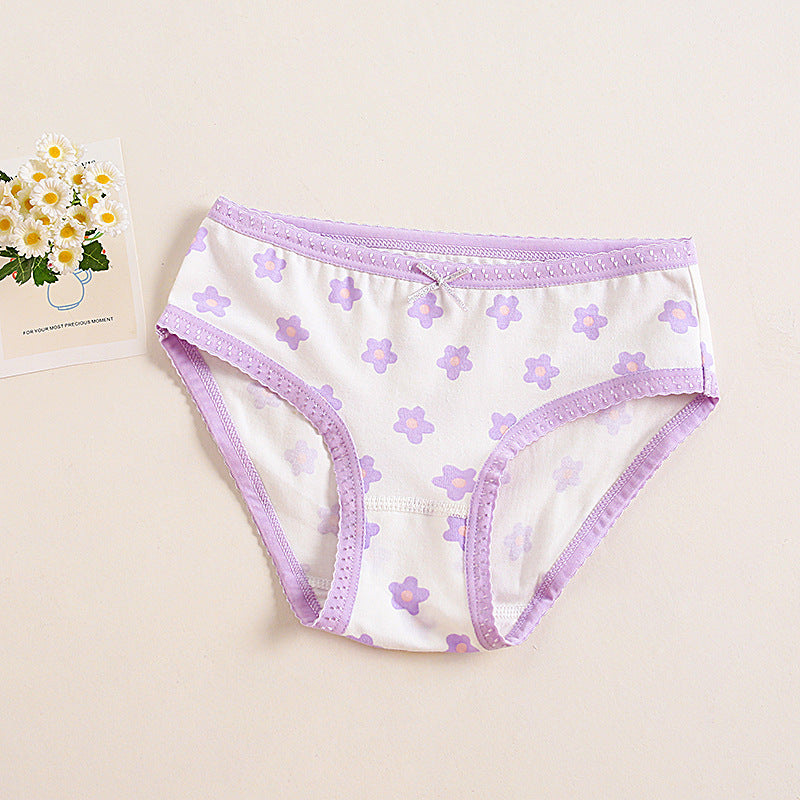 Girls Cotton Panties (4 pcs) Purple Flower| Size 2–12Y