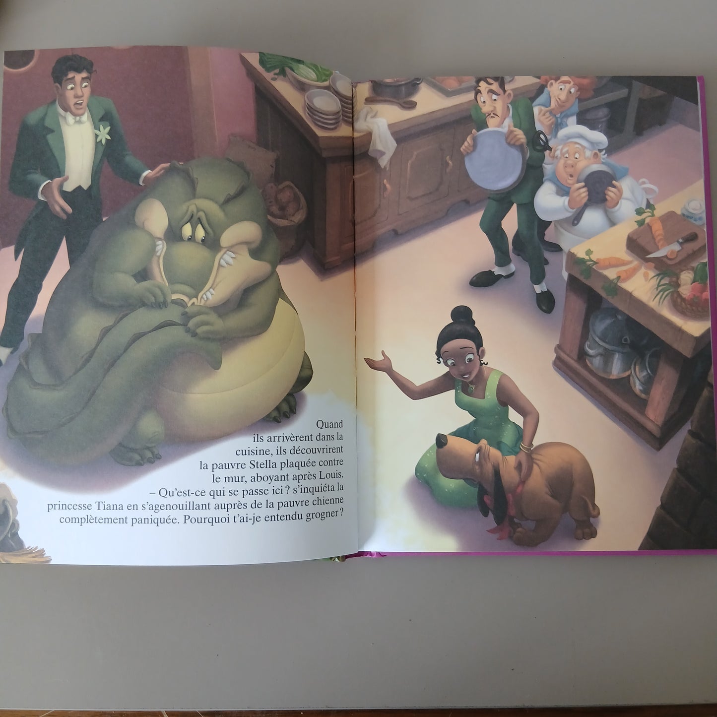 Disney Princesses & Animals Storybook French Book |Hardcover | 3+