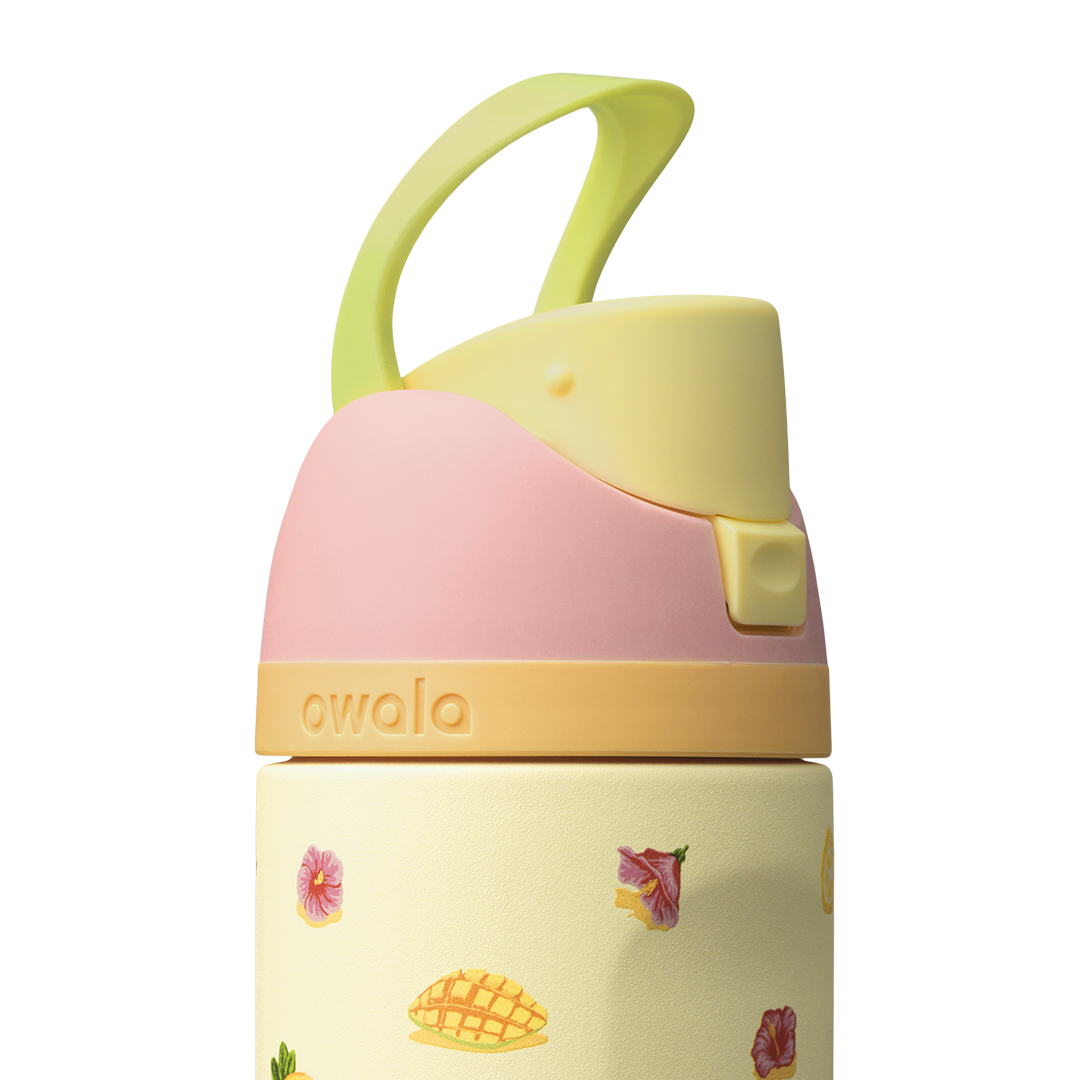 Owala Stainless Steel FreeSip Leak-proof Just Ripe | 710-950ml