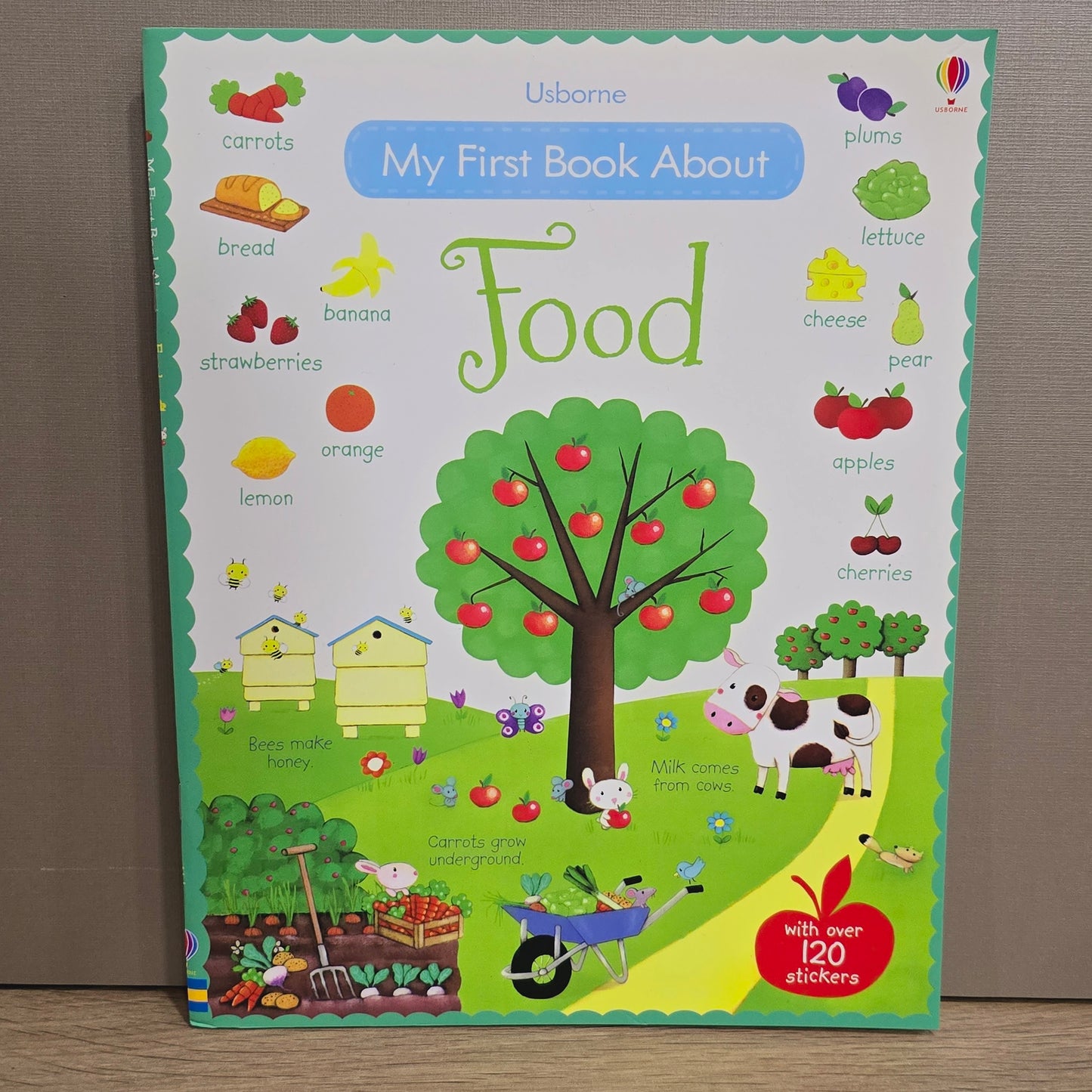 Usborne First Sticker Books 38 Variation Part 2