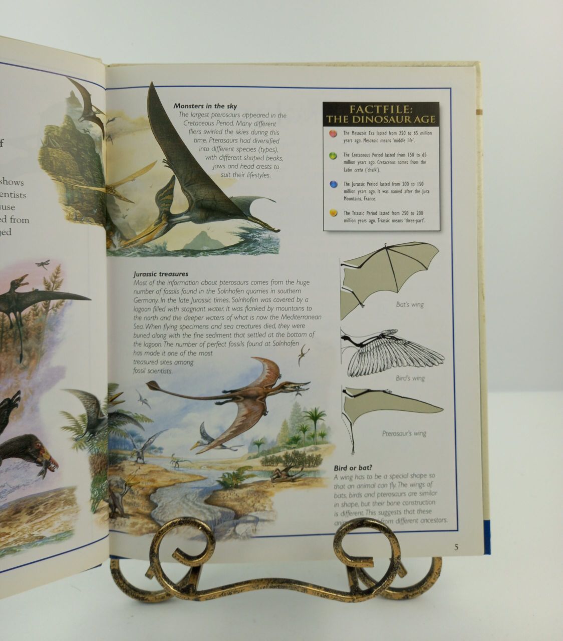 Discovering Dinosaurs: Flying Monsters | Hard Cover | 7+