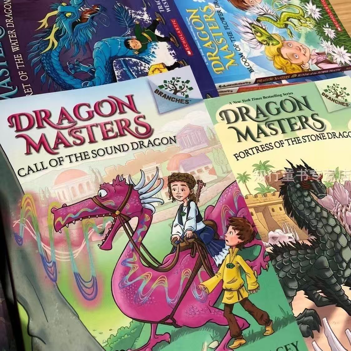 Dragon Masters 27 Books Set | Soft Cover | 8+