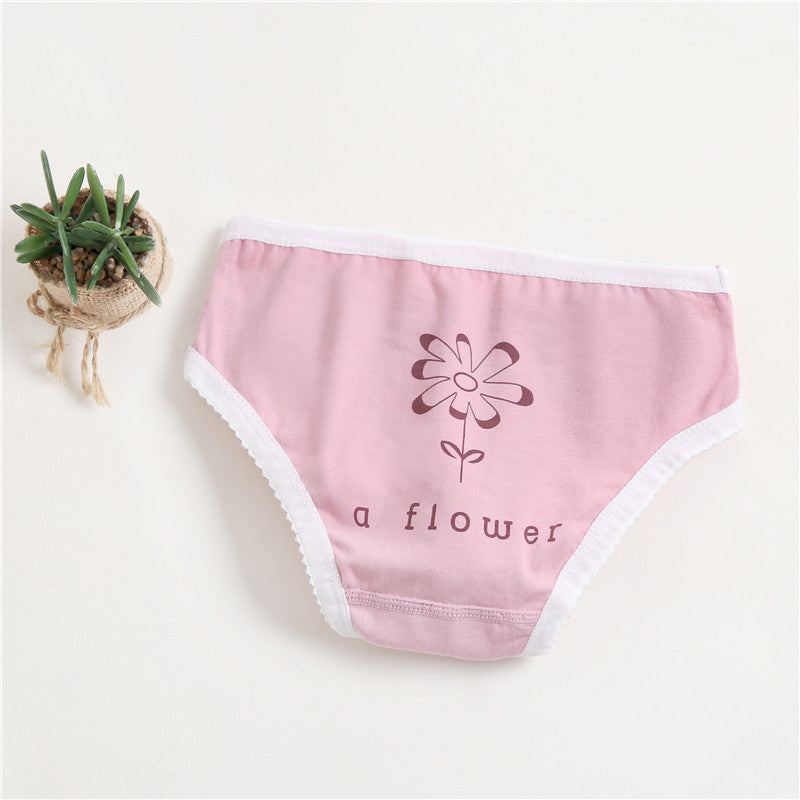 Girls Cotton Panties (4 pcs)-Pink Dots | Size 2–12Y