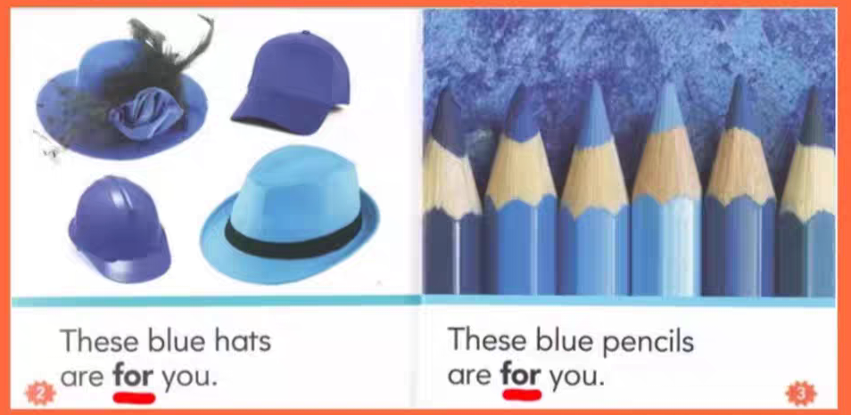 Nonfiction Sight Word Readers | 25 Books | Level A-D