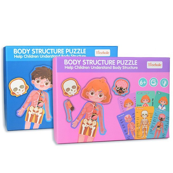 Human Body Structure Puzzle Educational For Kids | 3+
