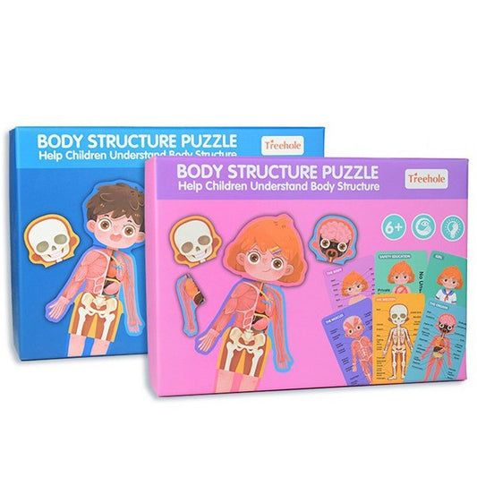 Human Body Structure Puzzle Educational For Kids