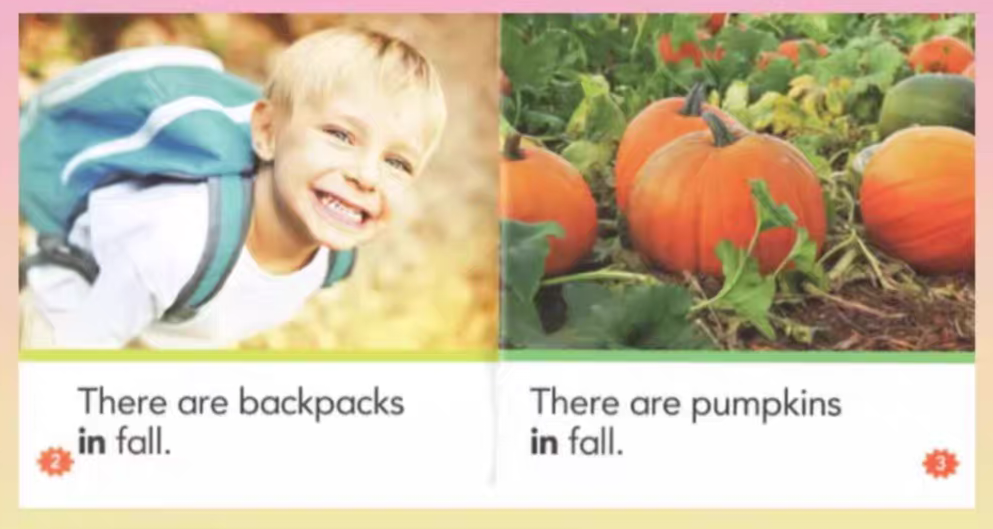 Nonfiction Sight Word Readers | 25 Books | Level A-D