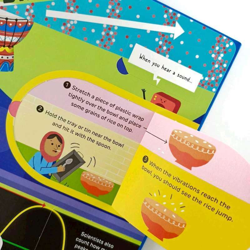 Usborne Lift-the-Flap Book | Hard Cover | 6+