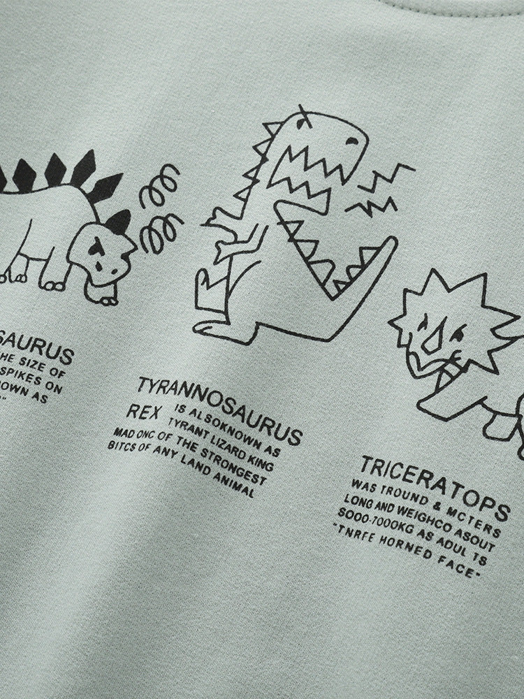 Outfit Cotton  Dinosaurs Design Size 4-10y