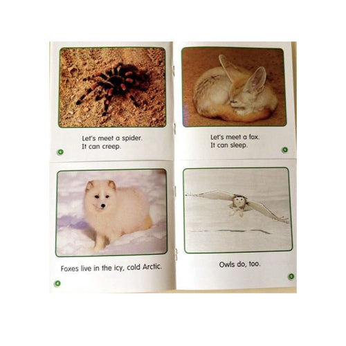 Guided Science Readers | 16 Fun Nonfiction Books | Level A-F | 3+