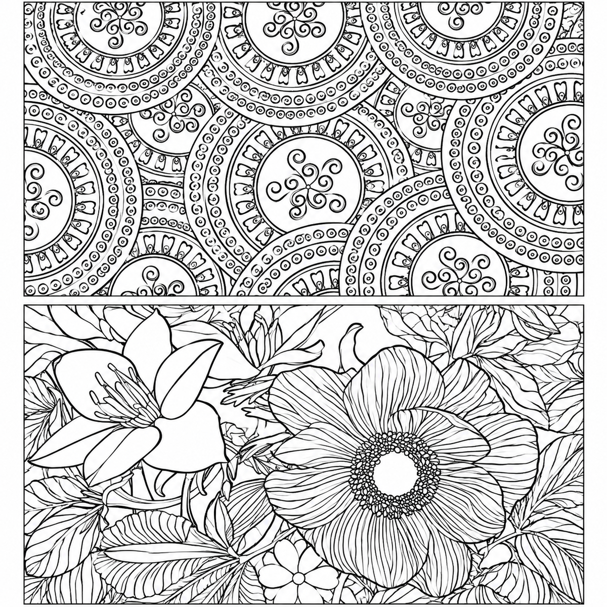 Coloring Books – Mandalas, Animals, Fantasy & More