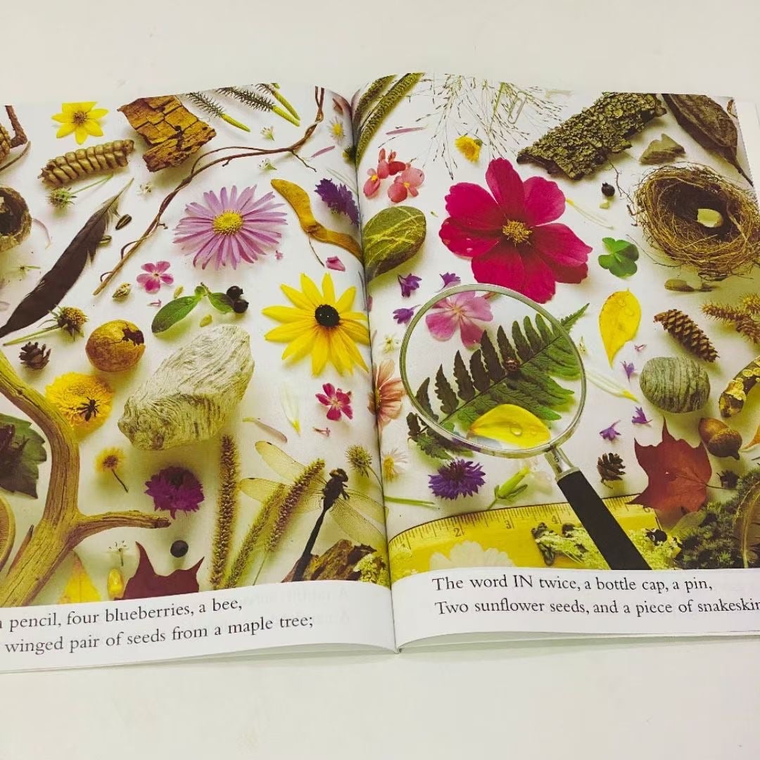 I SPY - 10 Books Set | Ultimate Collection | Soft Cover | 4+