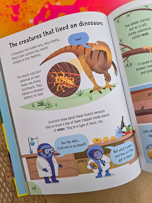Usborne Lots Of Things To Know About Dinosaurs | Hard Cover | 6+