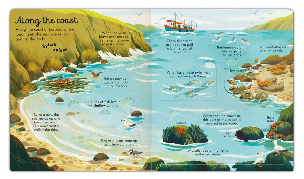 Usborne Look Inside Books - Hard Cover | 5+