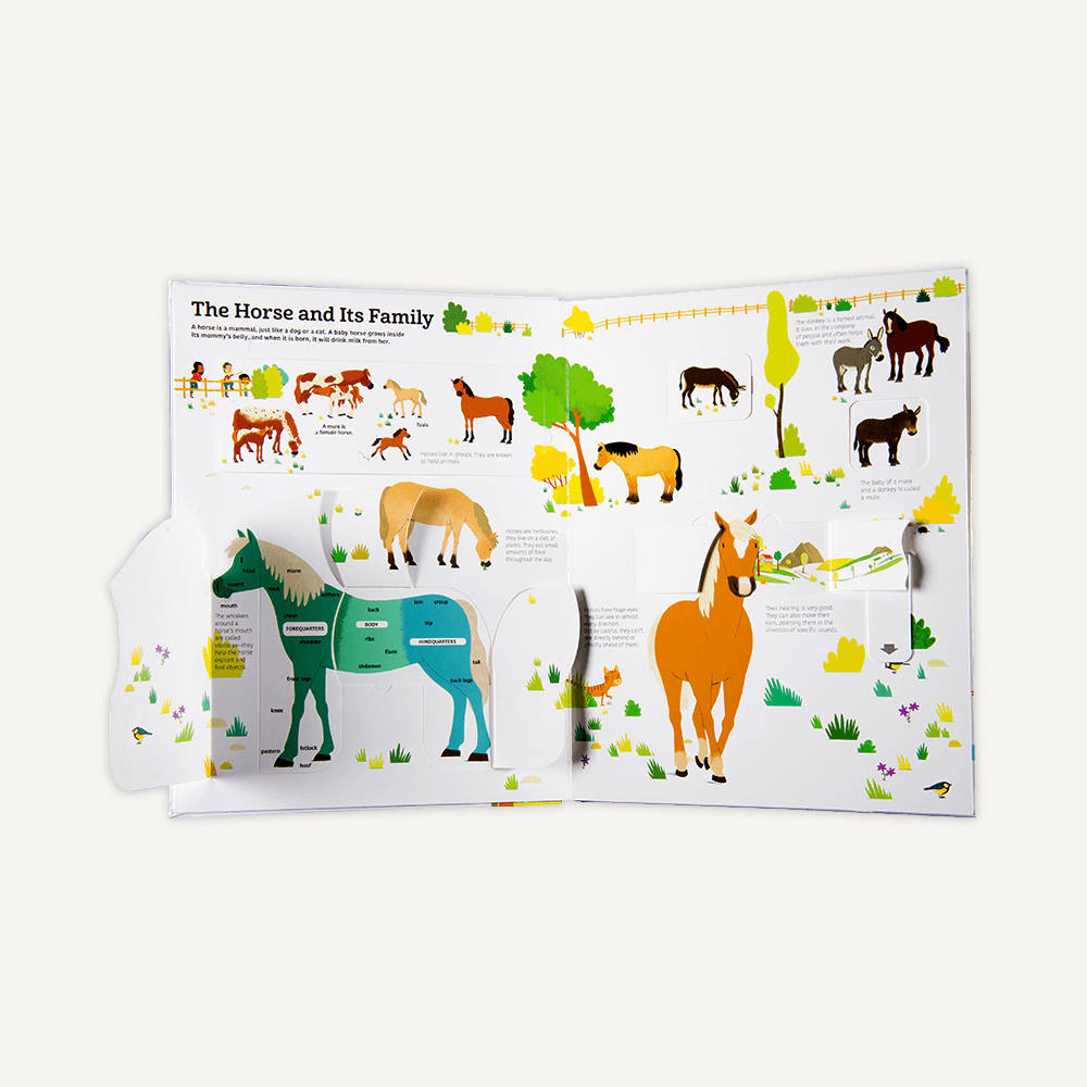Big Ultimate Book Of Horses | Hardcover | 5+