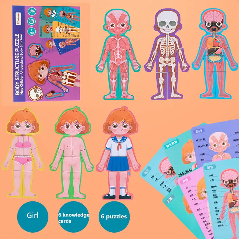 Human Body Structure Puzzle Educational For Kids | 3+
