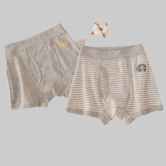 Boys Cotton Boxer Shorts (2pcs) - Grey Line | 1-2y