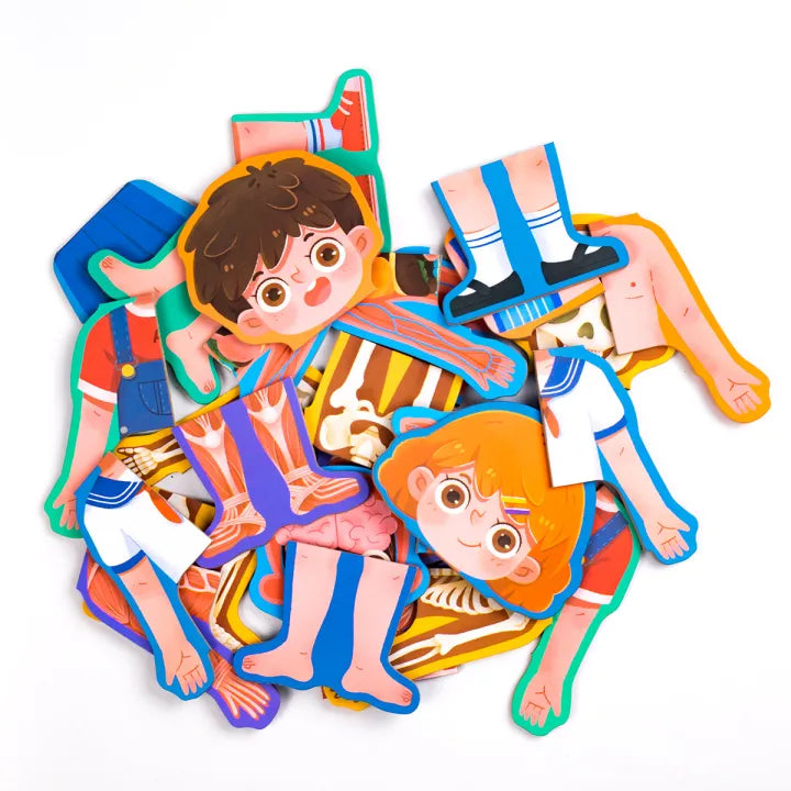 Human Body Structure Puzzle Educational For Kids | 3+