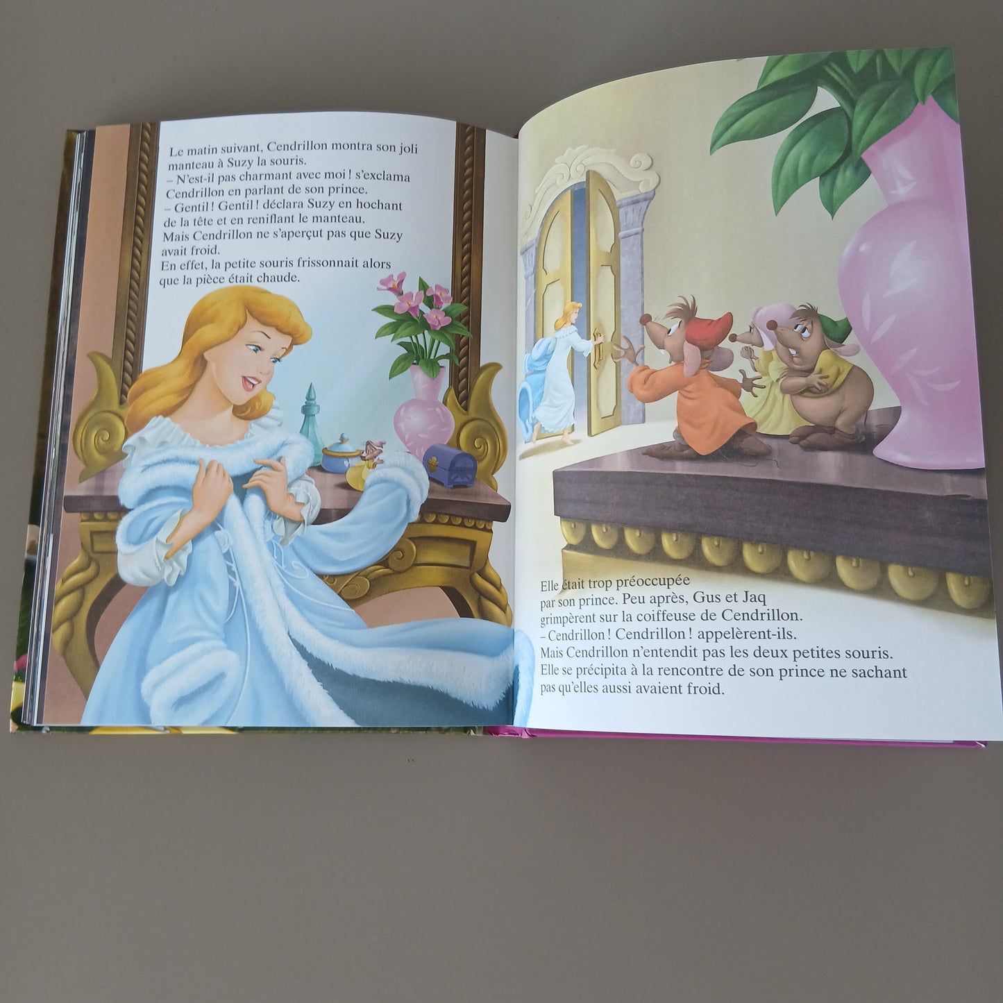 Disney Princesses & Animals Storybook French Book |Hardcover | 3+