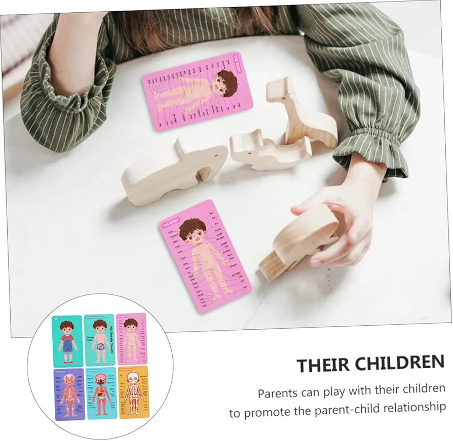 Human Body Structure Puzzle Educational For Kids | 3+