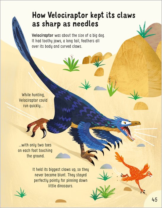 Usborne Lots Of Things To Know About Dinosaurs | Hard Cover | 6+