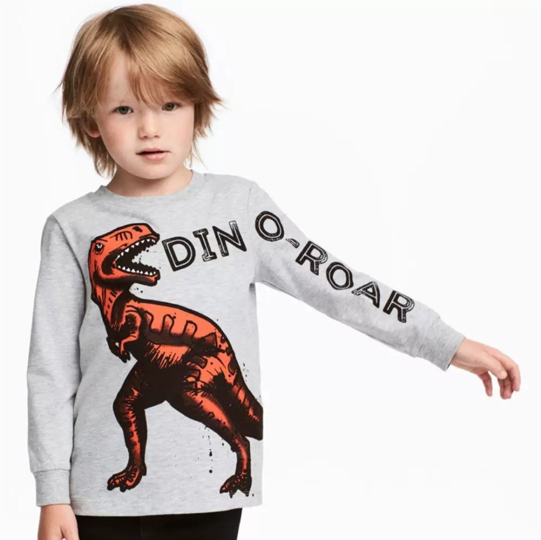 Grey Cotton 100% Top Long Sleeve With Dino Design