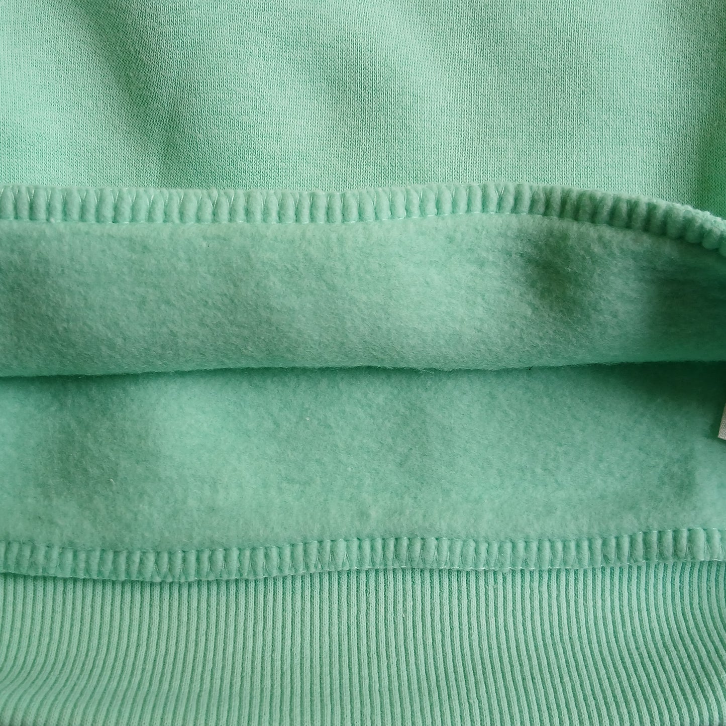 Sweater With Fleece Mint Color Tiger Power Design Size 7-8y