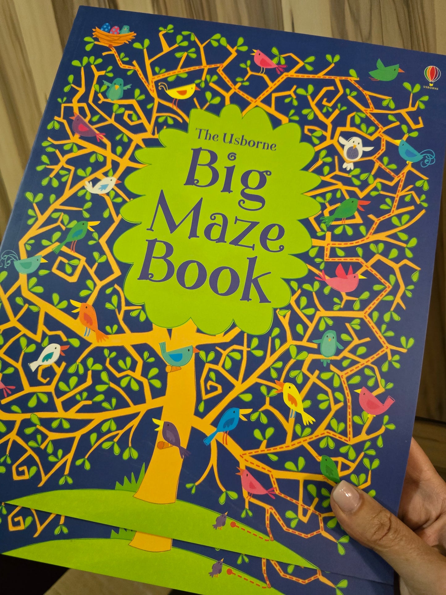 Usborne Maze Books