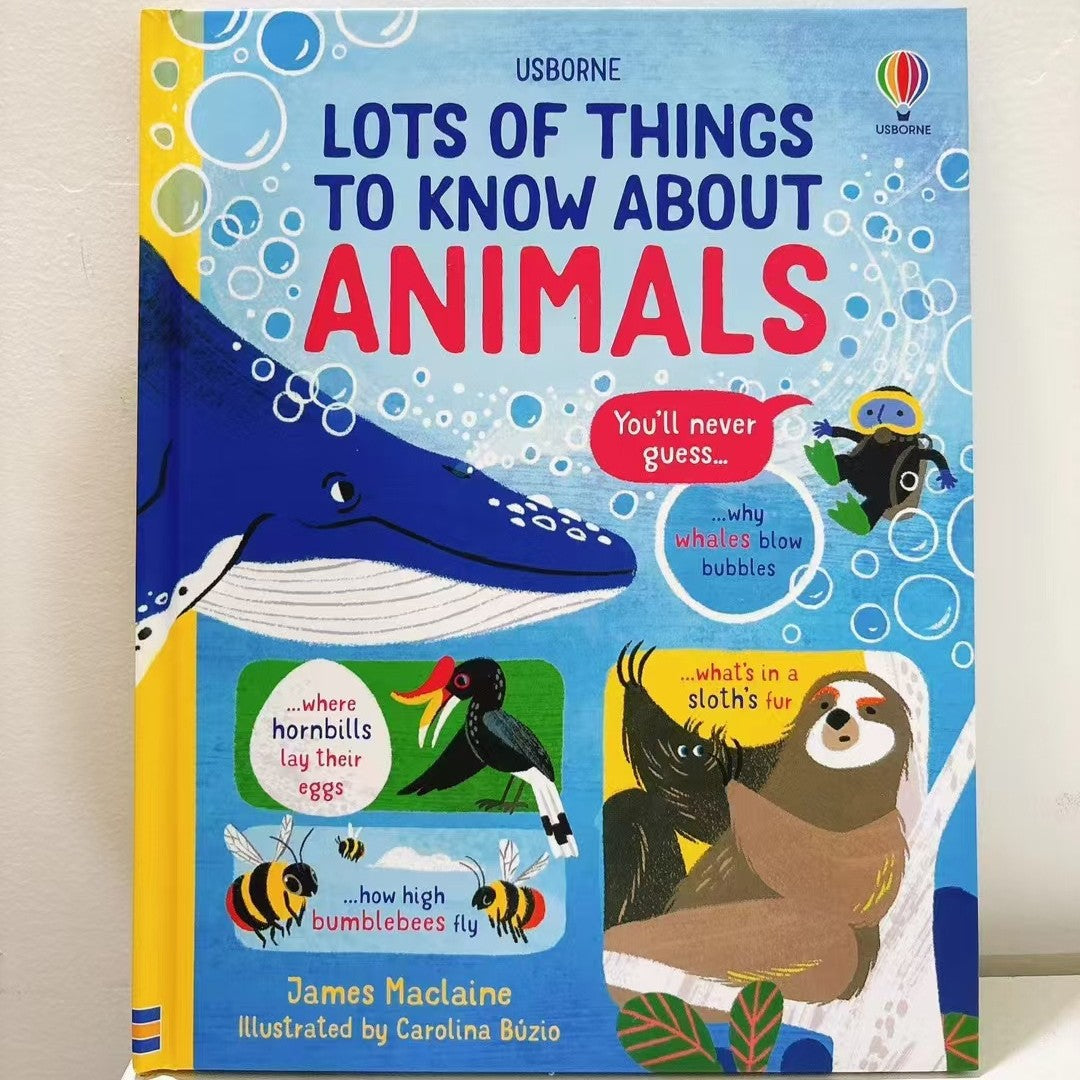 Usborne Lots Of Things To Know About