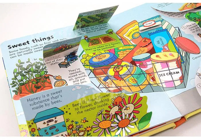 Usborne Look Inside Books - Hard Cover | 5+