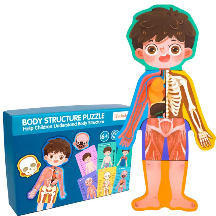 Human Body Structure Puzzle Educational For Kids | 3+