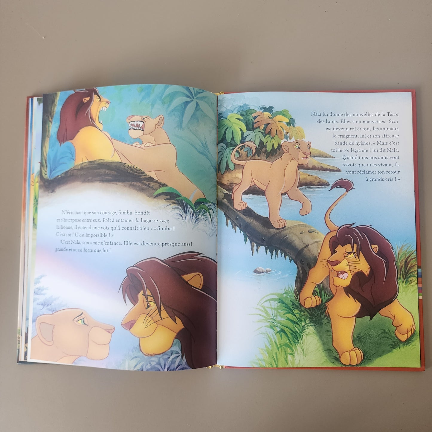 Disney " Le Roi Lion " French Book | Hard Cover | 3+