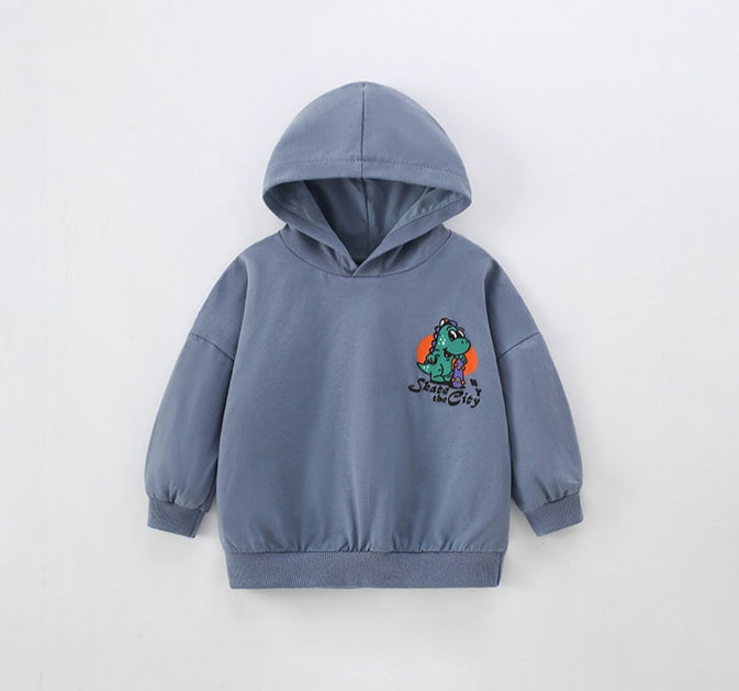 Boys Light Cotton  Dinosaur Hoodie | Size 3-10y