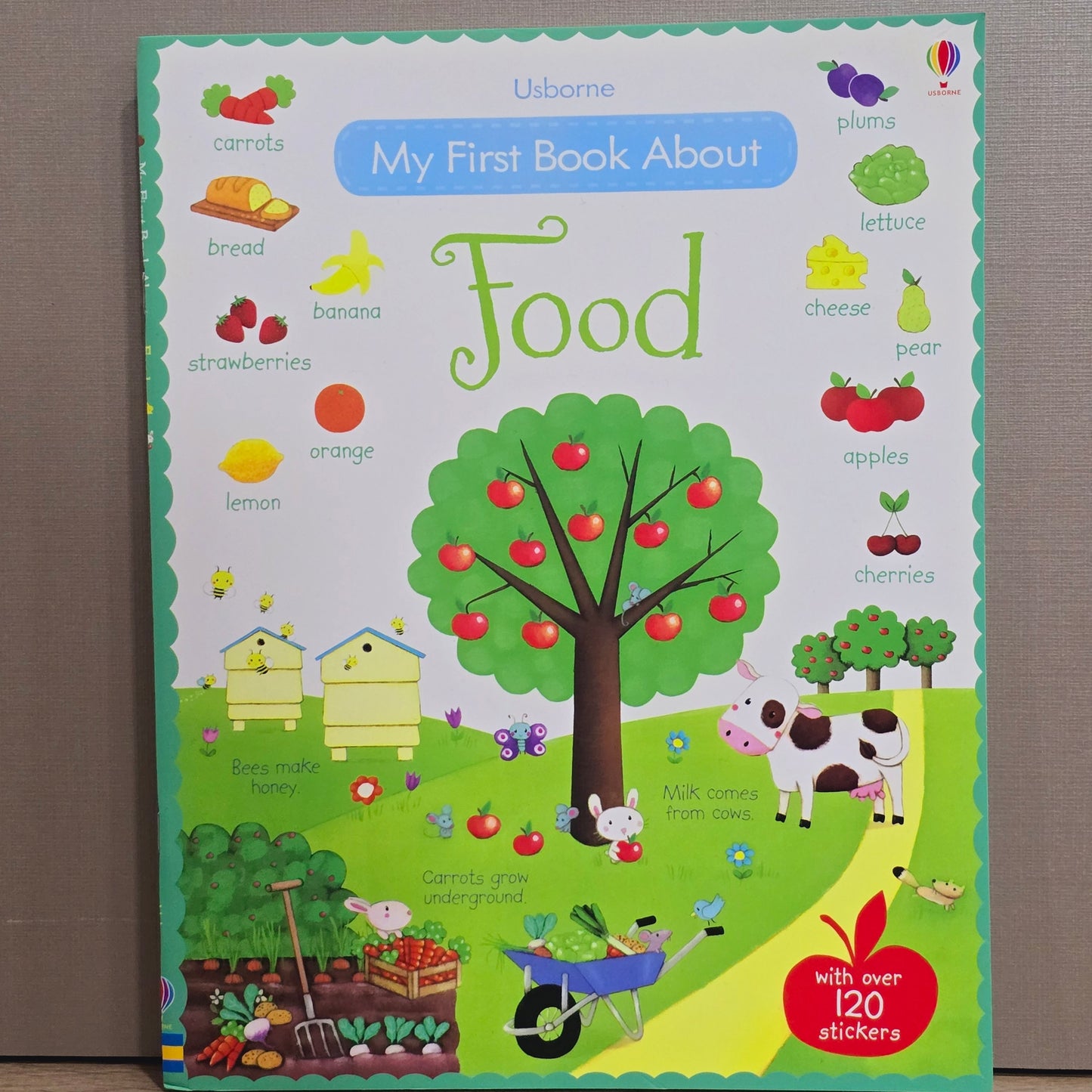 Usborne First Sticker Books 38 Variation Part 2