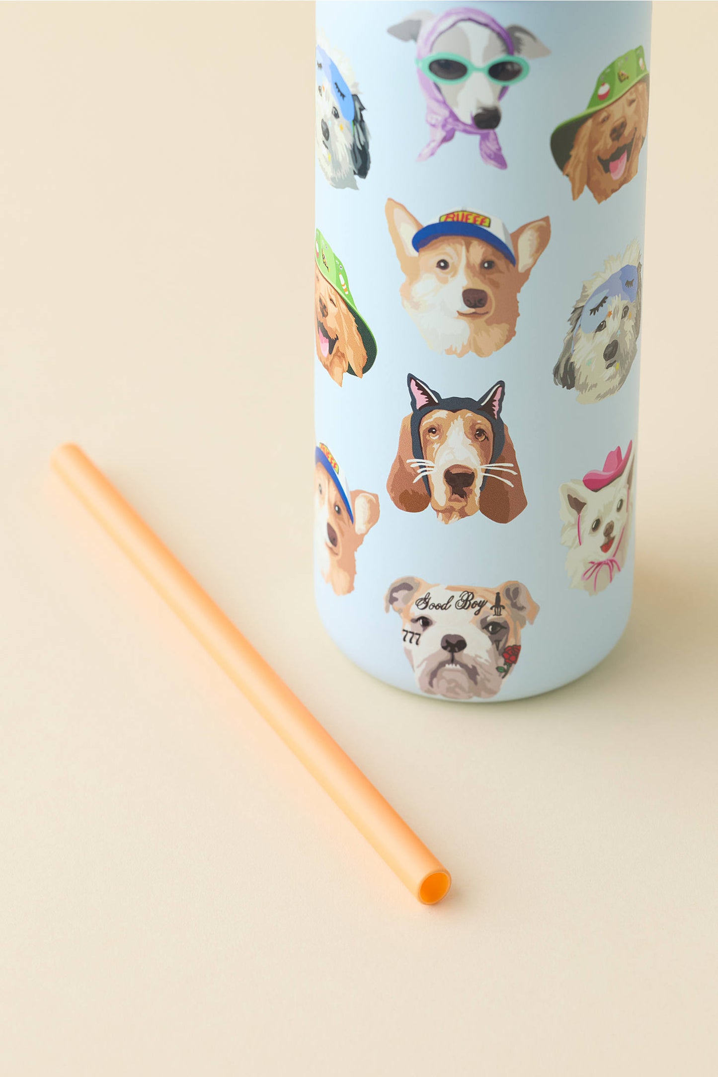 Owala Bottle Stainless Steel FreeSip Leak-proof | Dog Collage | 950ml