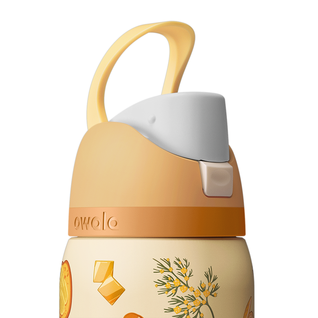 Owala Stainless Steel FreeSip Leak-proof Brunch Bunch | 950ml