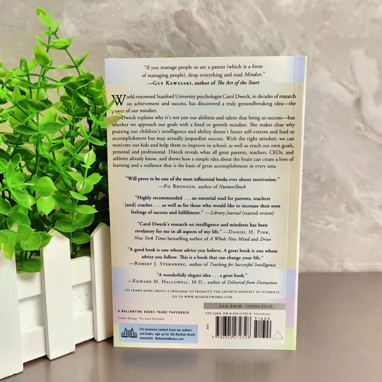 Mindset The New Psychology Of Success