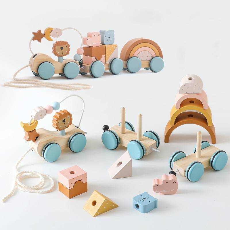 Montessori Wooden Pull Along Train Toy with Stacking Blocks
