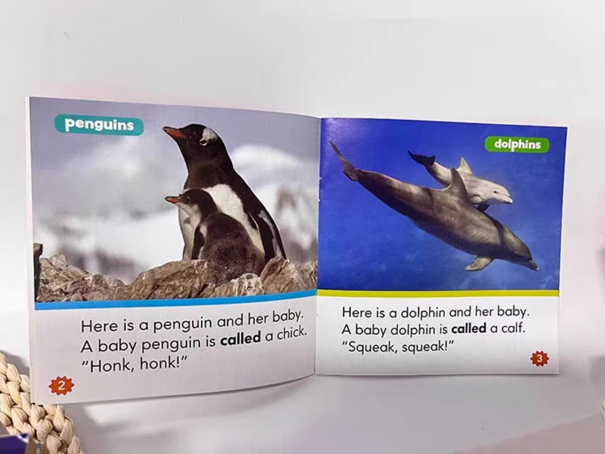 Nonfiction Sight Word Readers | 25 Books | Level A-D