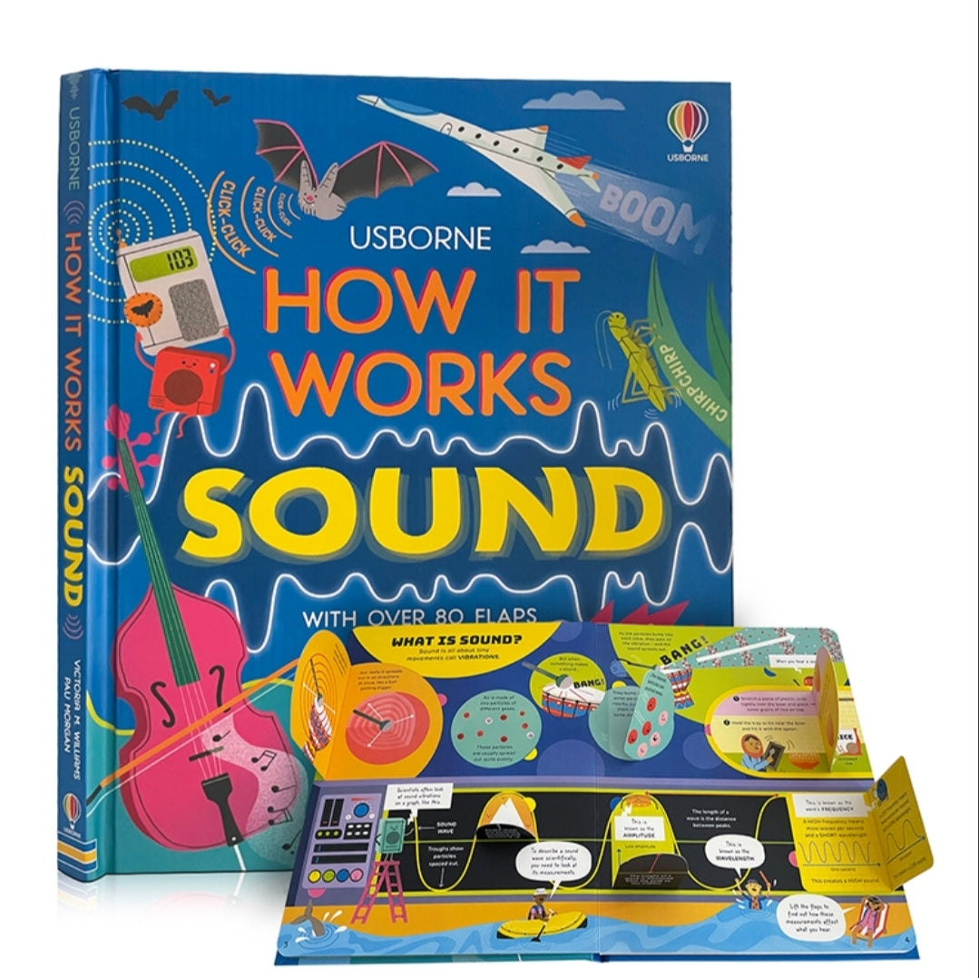 Usborne Lift-the-Flap Book | Hard Cover | 6+